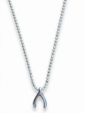 Sterling Silver Wishbone Pendant Necklace - Silver